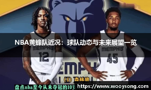 NBA黄蜂队近况：球队动态与未来展望一览